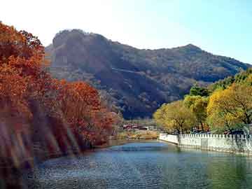 澳门精准正版免费大全14年新，农园种植蔬菜